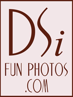 DSi Fun Photos